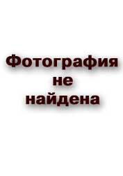 Войцехов Николай Фёдорович